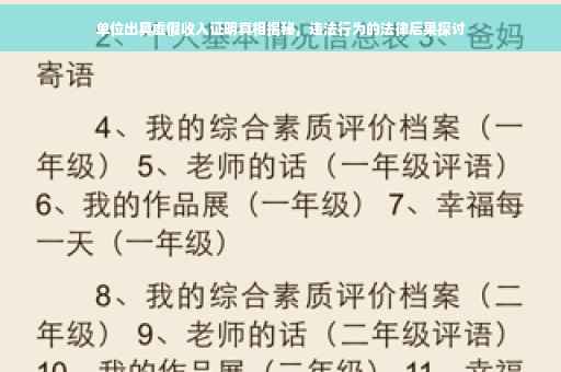 单位出具虚假收入证明真相揭秘，违法行为的法律后果探讨