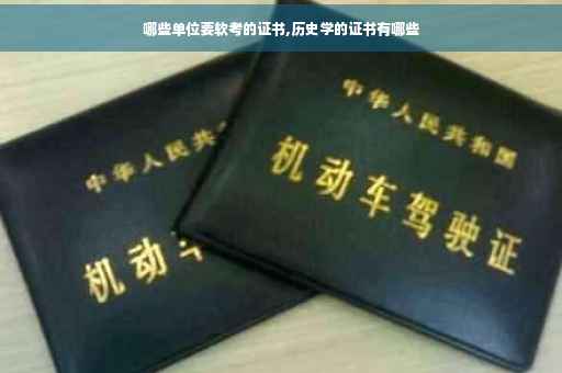 哪些单位要软考的证书,历史学的证书有哪些
