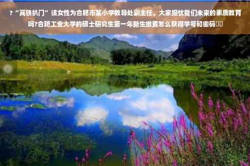 ?“高铁扒门”该女性为合肥市某小学教导处副主任。大家担忧我们未来的素质教育吗?合肥工业大学的硕士研究生第一年新生缴费怎么获得学号和密码⚡️