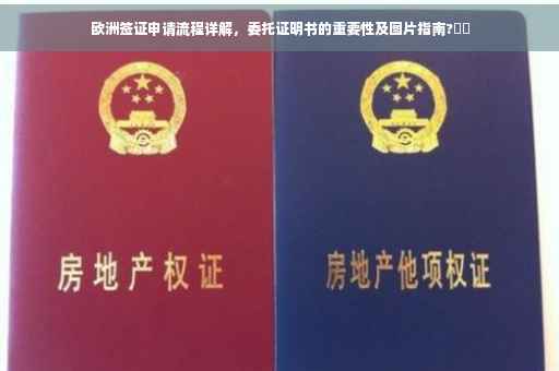 欧洲签证申请流程详解，委托证明书的重要性及图片指南?⚡️