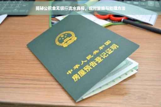 揭秘公积金无银行流水真相，应对策略与处理方法
