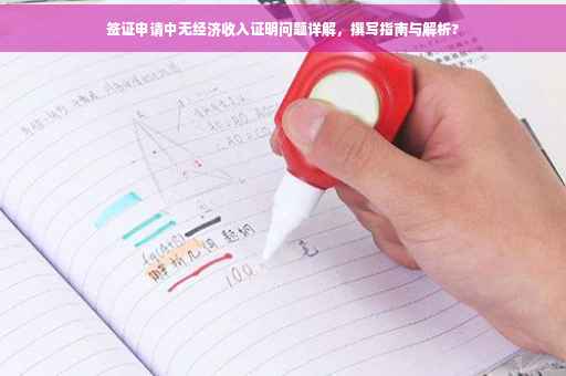签证申请中无经济收入证明问题详解，撰写指南与解析?