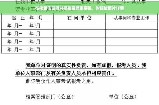在校受伤证明书模板及其重要性，附模板图片详解