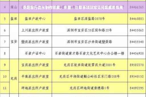 岳阳银行流水制作详解，步骤、注意事项及常见问题解答指南