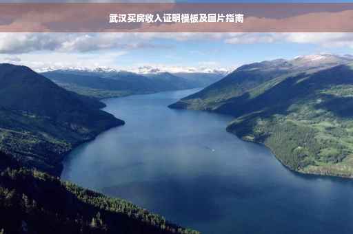 武汉买房收入证明模板及图片指南