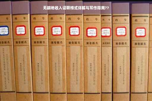 无耕地收入证明格式详解与写作指南??