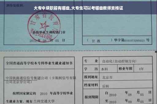 大专中级职称有哪些,大专生可以考哪些教师资格证
