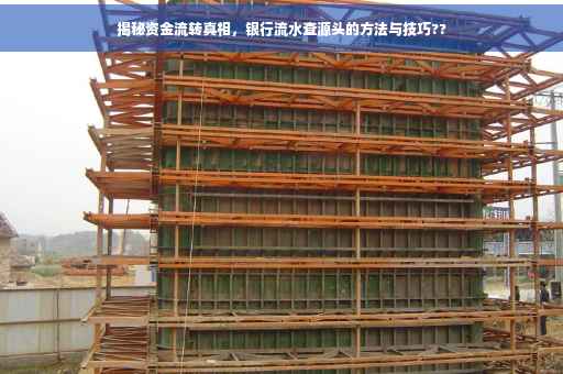 揭秘资金流转真相，银行流水查源头的方法与技巧??