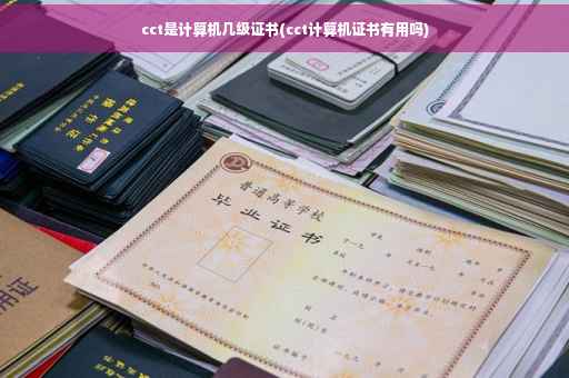 cct是计算机几级证书(cct计算机证书有用吗)