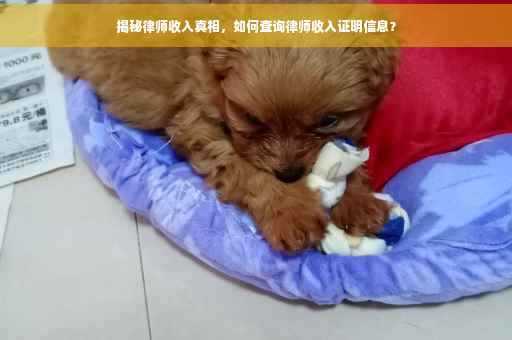 揭秘律师收入真相，如何查询律师收入证明信息？