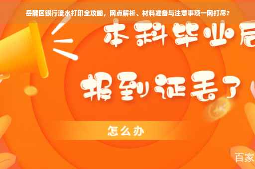 岳麓区银行流水打印全攻略，网点解析、材料准备与注意事项一网打尽?