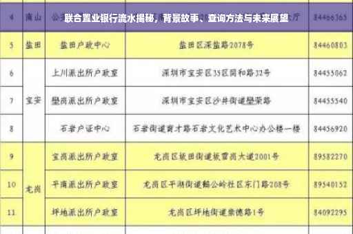 联合置业银行流水揭秘，背景故事、查询方法与未来展望