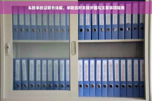 车险事故证明书详解，事故应对关键步骤与注意事项指南