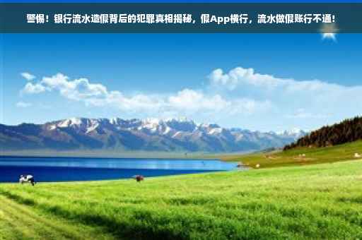 警惕！银行流水造假背后的犯罪真相揭秘，假App横行，流水做假账行不通！