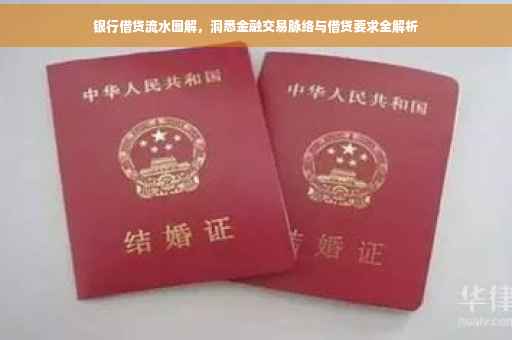 银行借贷流水图解，洞悉金融交易脉络与借贷要求全解析