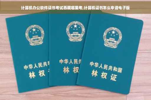 计算机办公软件证书考试西藏哪里考,计算机证书怎么申请电子版