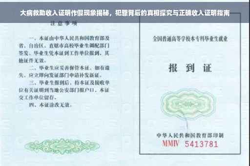 大病救助收入证明作假现象揭秘，犯罪背后的真相探究与正确收入证明指南