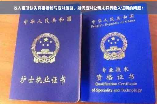 收入证明缺失真相揭秘与应对策略，如何应对公司未开具收入证明的问题？
