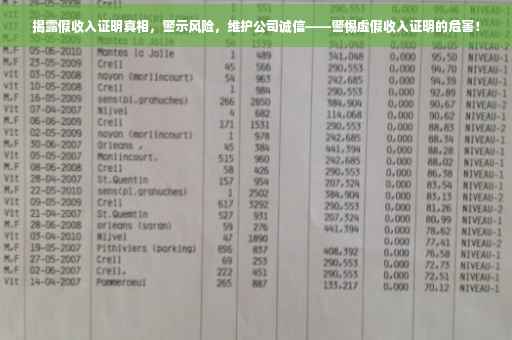 揭露假收入证明真相，警示风险，维护公司诚信——警惕虚假收入证明的危害！