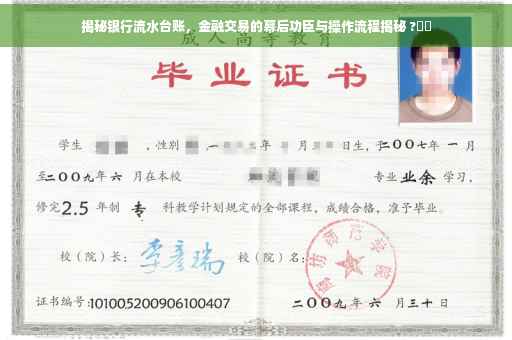 揭秘银行流水台账，金融交易的幕后功臣与操作流程揭秘 ?⚡️