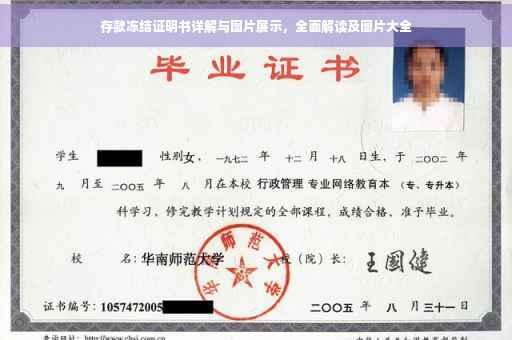 存款冻结证明书详解与图片展示，全面解读及图片大全