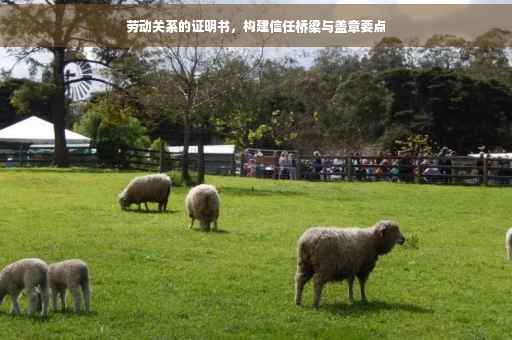 劳动关系的证明书，构建信任桥梁与盖章要点