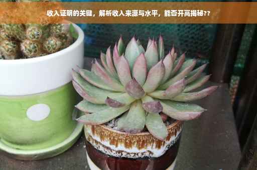 收入证明的关键，解析收入来源与水平，能否开高揭秘??