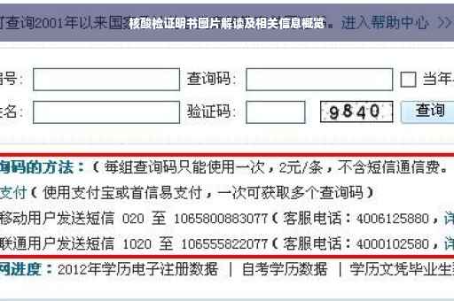核酸检证明书图片解读及相关信息概览