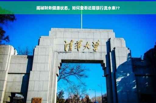 揭秘财务健康状态，如何查看近期银行流水表??