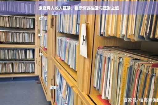 家庭月人收入证明，揭示真实生活与理财之道