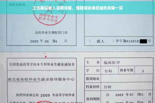 工伤期间收入证明详解，保障劳动者权益的关键一环