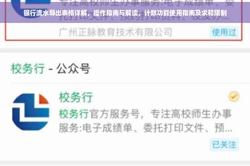 银行流水导出表格详解，操作指南与解读，计数功能使用指南及求和限制