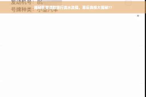 揭秘民警调取银行流水流程，幕后真相大揭秘??