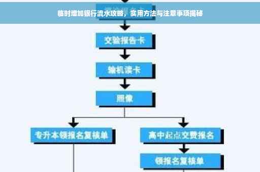 临时增加银行流水攻略，实用方法与注意事项揭秘