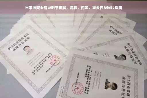 日本医院看病证明书详解，流程、内容、重要性及图片指南