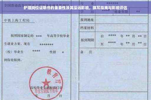 护理岗位证明书的重要性及其深远影响，撰写指南与影响评估
