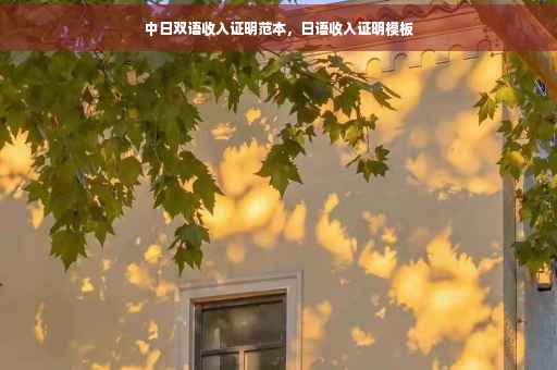 中日双语收入证明范本，日语收入证明模板