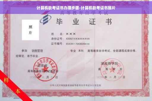 计算机软考证书办理步骤-计算机软考证书图片