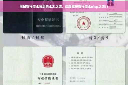 揭秘银行流水背后的水木之道，深度解析银行流水nisp之道??
