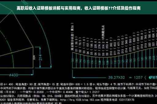 离职后收入证明模板详解与实用指南，收入证明模板??介绍及操作指南