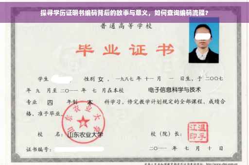 探寻学历证明书编码背后的故事与意义，如何查询编码流程？