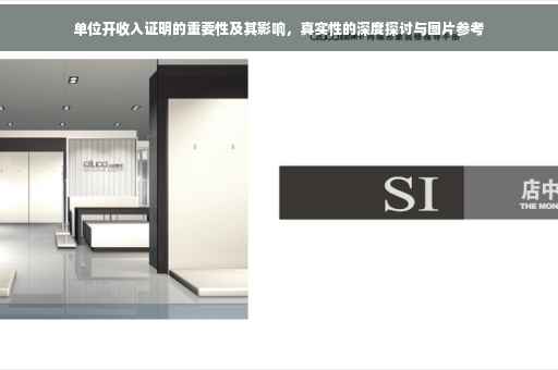 单位开收入证明的重要性及其影响，真实性的深度探讨与图片参考