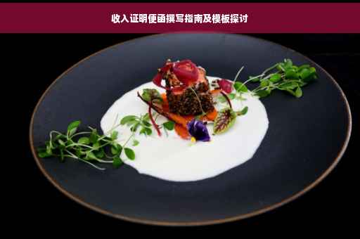 收入证明便函撰写指南及模板探讨