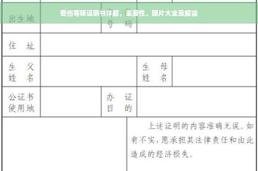 受伤等级证明书详解，重要性、图片大全及解读