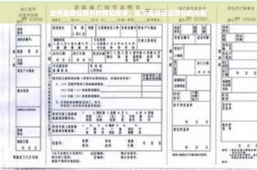 金秀离婚证明书的背后故事，揭示离婚证证明书的内幕