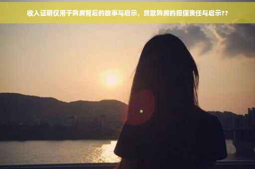 收入证明仅用于购房背后的故事与启示，贷款购房的担保责任与启示??