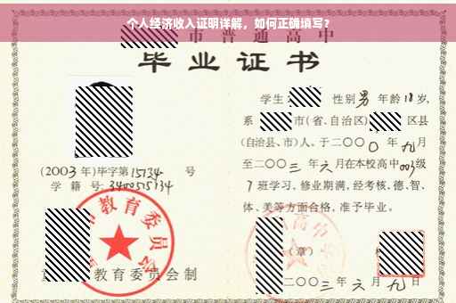 个人经济收入证明详解，如何正确填写？