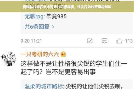 揭秘私拉银行流水背后的犯罪真相，违法行为的警示与剖析