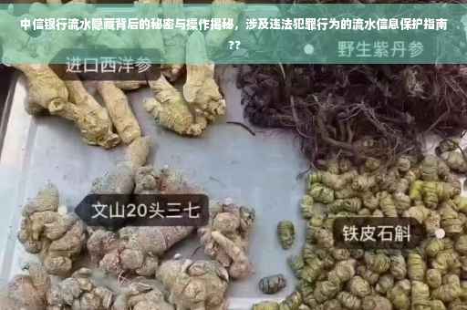 中信银行流水隐藏背后的秘密与操作揭秘，涉及违法犯罪行为的流水信息保护指南 ??