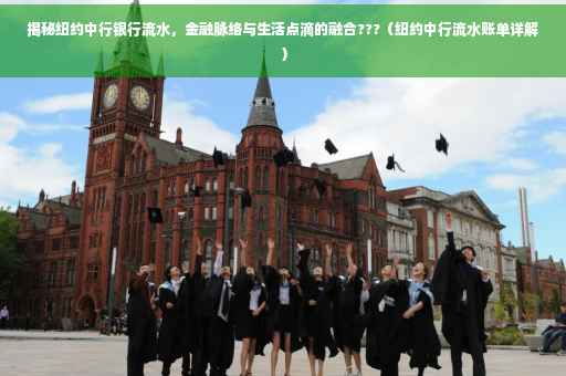 揭秘纽约中行银行流水，金融脉络与生活点滴的融合???（纽约中行流水账单详解）